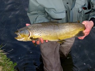 Arnavatnsheidi, Fly Fishing, Iceland