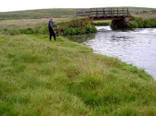  Fly fishing trout in Iceland