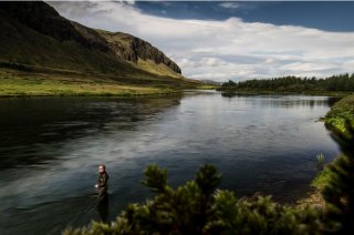 Salmon River Sog-Iceland.jpeg