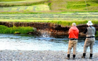Salmon fishing in Iceland Salmon fishing in Iceland