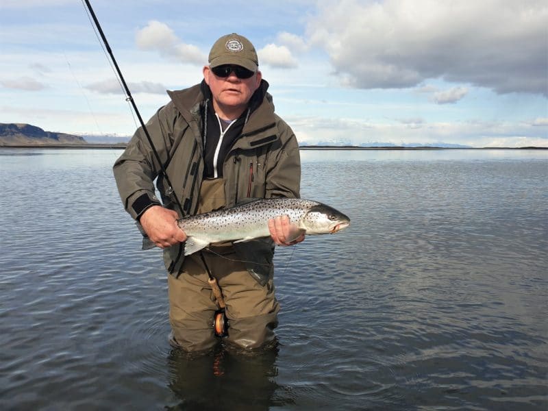 Trout fishing in iceland Brown trout sea trout fsihing in Iceland